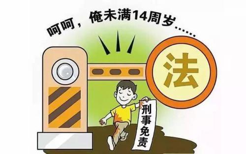 建議嚴管未成年人知法犯法！